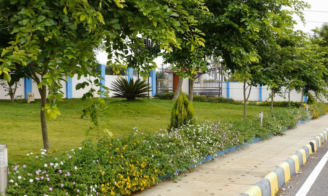 blog image